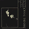 Link to image of cover