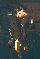 link to photo
